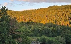 Vida Feliz, Appartement Cosy, Au Coeur Des Ardennes Belges, Dogfriendly